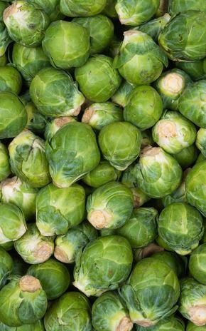 Le Chou de Bruxelles