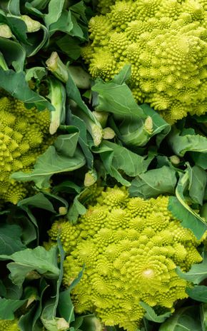 Le Chou romanesco