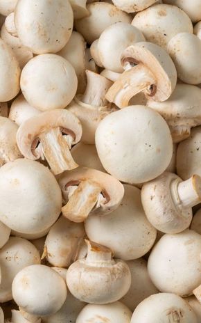 Le Champignon blanc