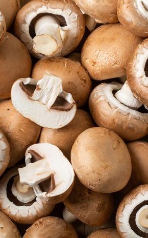 Le Champignon brun