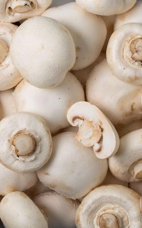 Le Champignon géant