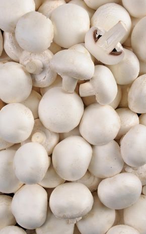 Le Champignon blanc
