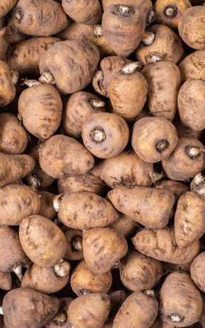 Le Cerfeuil tubéreux