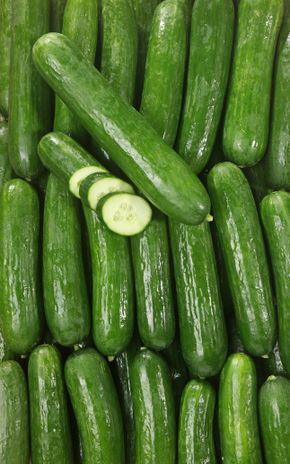 Le Concombre BIO
