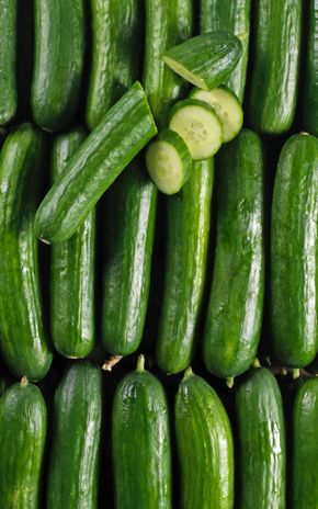 Le Petit concombre sélection