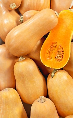 La Courge butternut BIO