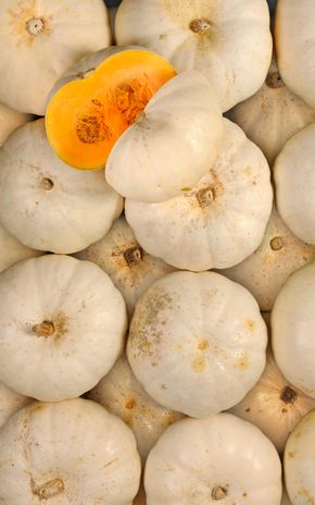 La Courge bernettine