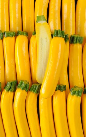 La Courgette jaune HVE