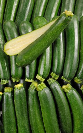 La Courgette verte en filet