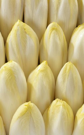 Les Endives en sachet