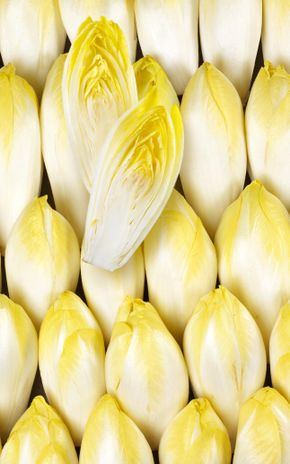 L'Endive