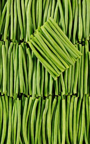 Le Haricot vert très fin