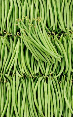Le Haricot vert