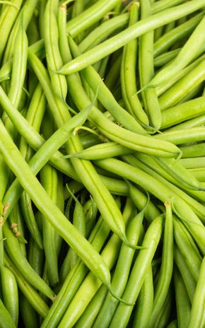 Le Haricot vert BIO