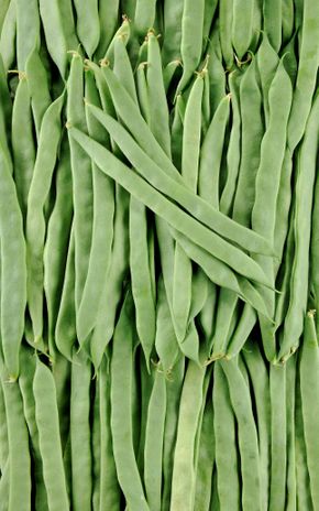 Le Haricot coco plat