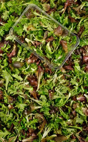 Le Mélange de jeunes pousses