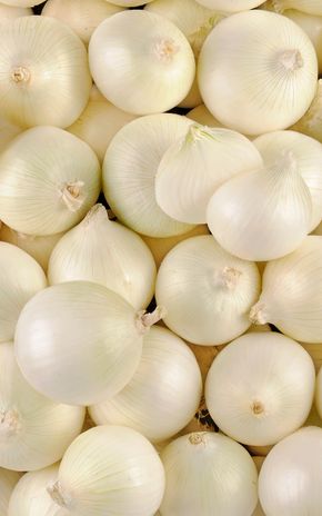 L'Oignon blanc