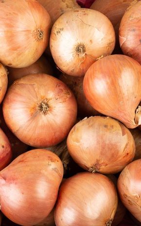 L'Oignon rosé de Bretagne