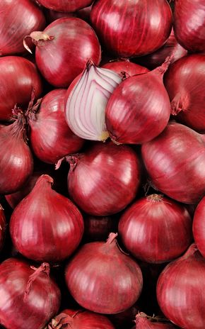 L'Oignon rouge