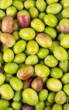 L'Olive verte crue