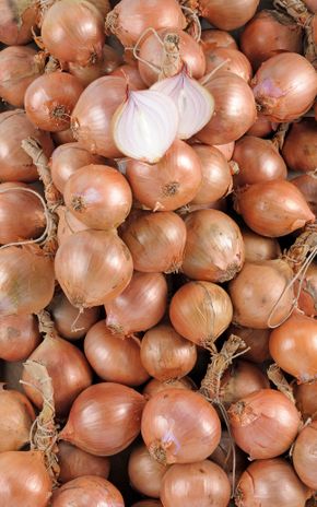 L'Oignon rose de Bretagne Tresse