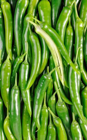 Le Piment vert