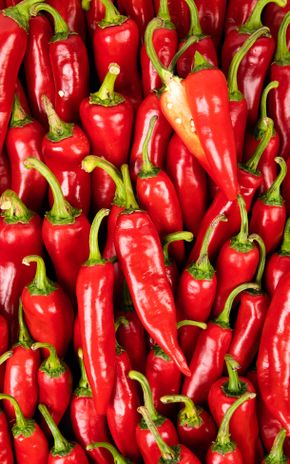 Le Piment d'Espelette en grappe
