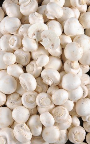 Le Champignon en colis