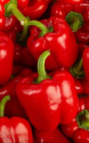 Le Poivron (rouge, jaune ou vert)