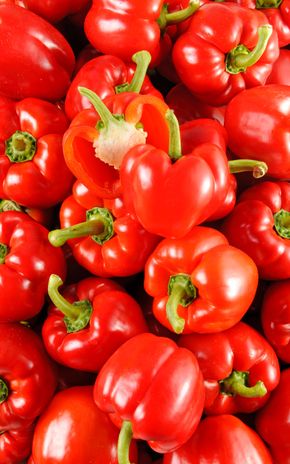 Le Poivron rouge