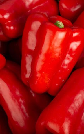 Le Poivron rouge BIO