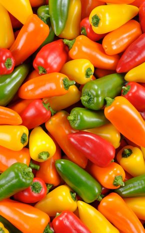 Le Mélange de mini poivrons BIO