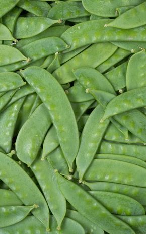 Les Pois mange-tout extra fins