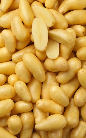 La Pomme de terre Talentine Label Rouge