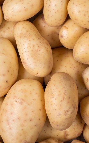 La Pomme de terre de consommation lavée