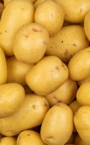 La Pomme de terre de consommation lavée