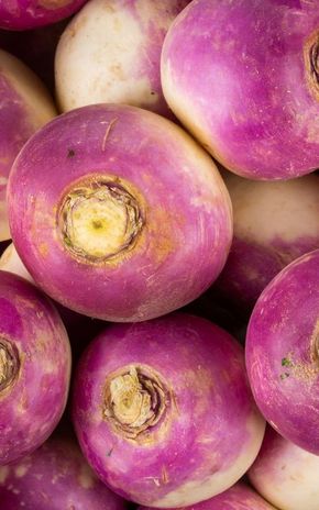 Le Navet violet BIO