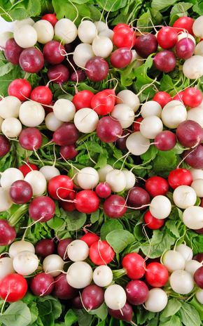Le Radis botte tricolore