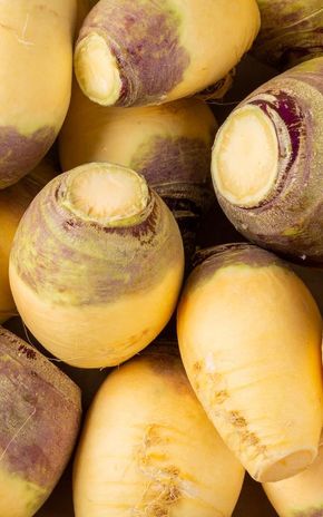Le Rutabaga