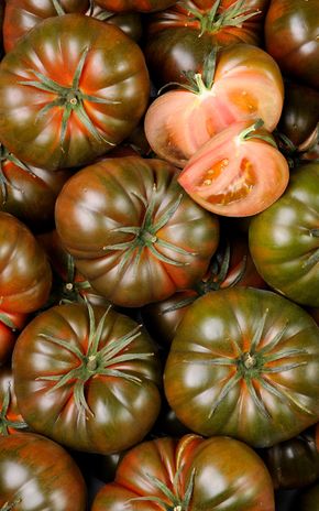 La Tomate noire de Crimée - Sélection variété ancienne