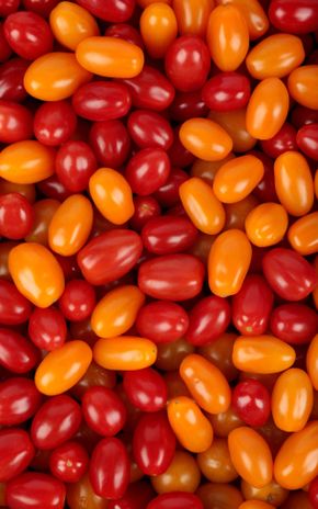 Le Panaché de tomates cerise