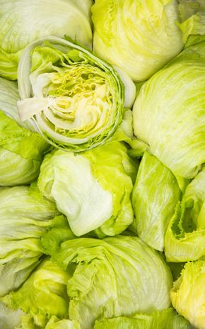 La Salade iceberg