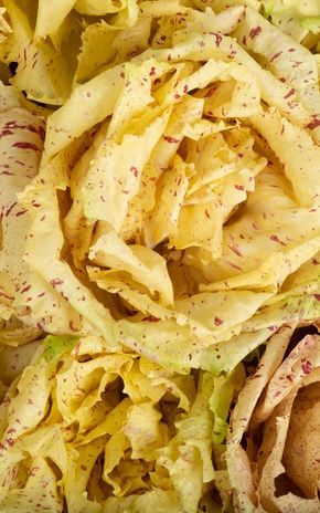 La Salade castelfranco