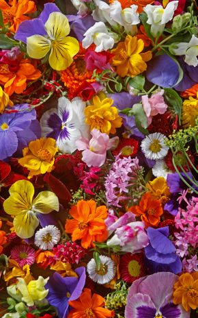 Les Fleurs comestibles