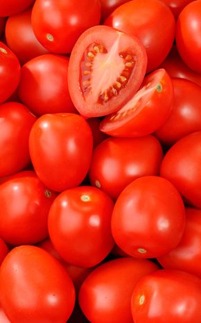 La Tomate Roma HVE