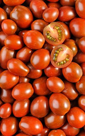 La Tomate cerise noire