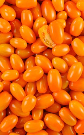 La Tomate cerise allongée orange