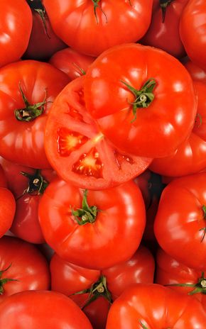 La Tomate grosse à farcir HVE