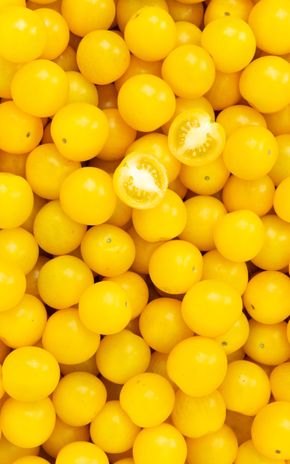 La Tomate cerise jaune