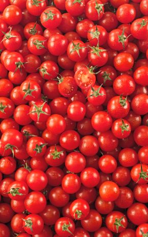 La Tomate cerise rouge